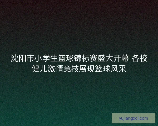 沈阳市小学生篮球锦标赛盛大开幕 各校健儿激情竞技展现篮球风采